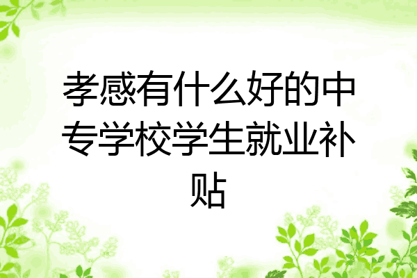 孝感有什么好的中专学校学生就业补贴