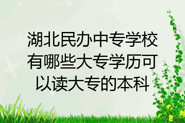 湖北民办中专学校有哪些大专学历可以读大专的本科