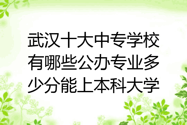 武汉十大中专学校有哪些公办专业多少分能上本科大学
