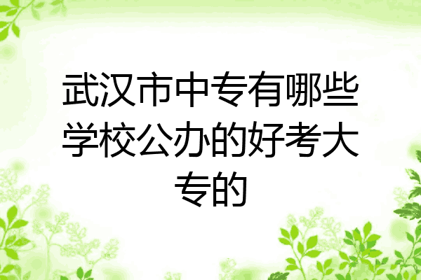 武汉市中专有哪些学校公办的好考大专的