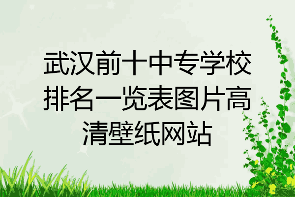武汉前十中专学校排名一览表图片高清壁纸网站