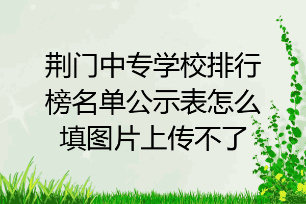 荆门中专学校排行榜名单公示表怎么填图片上传不了