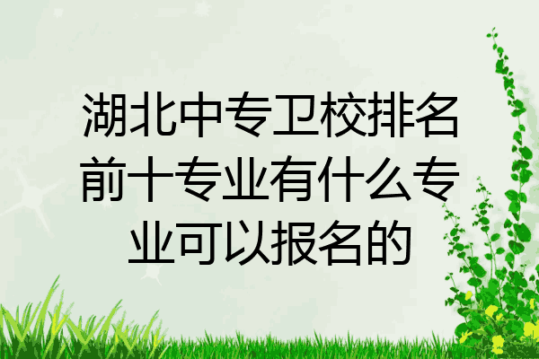 湖北中专卫校排名前十专业有什么专业可以报名的
