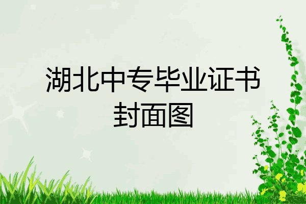 湖北中专毕业证书封面图