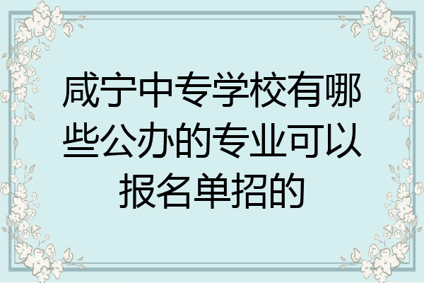 咸宁中专学校有哪些公办的专业可以报名单招的