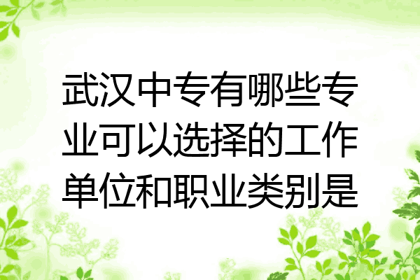 武汉中专有哪些专业可以选择的工作单位和职业类别是