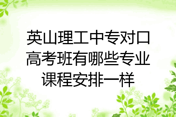英山理工中专对口高考班有哪些专业课程安排一样