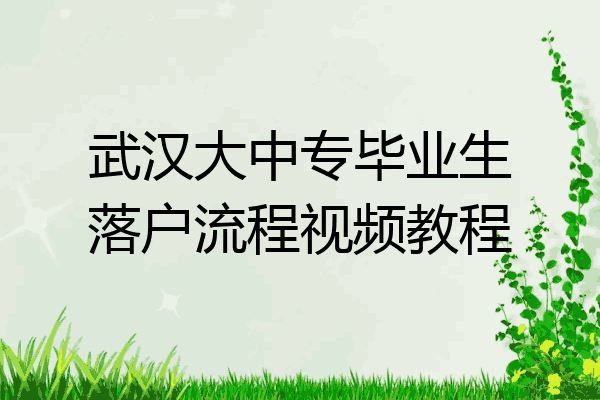 武汉大中专毕业生落户流程视频教程