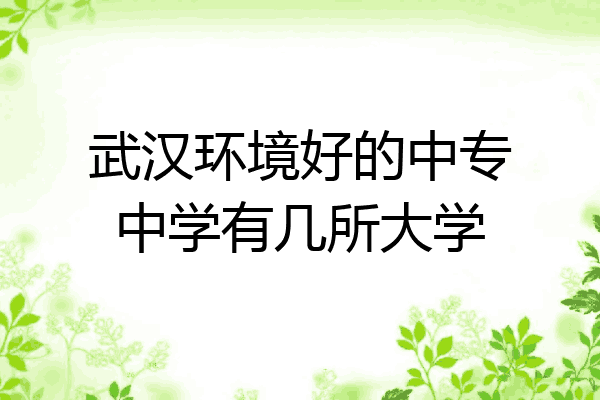 武汉环境好的中专中学有几所大学
