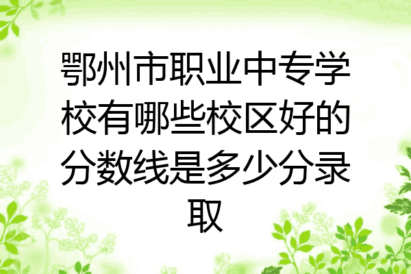 鄂州市职业中专学校有哪些校区好的分数线是多少分录取