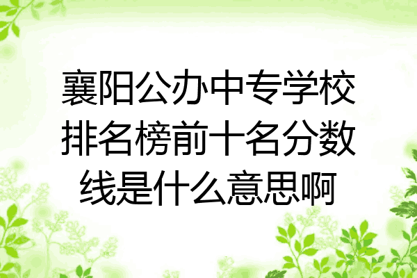襄阳公办中专学校排名榜前十名分数线是什么意思啊