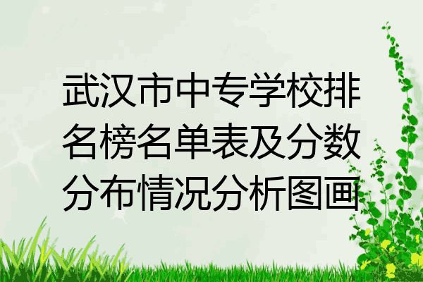 武汉市中专学校排名榜名单表及分数分布情况分析图画