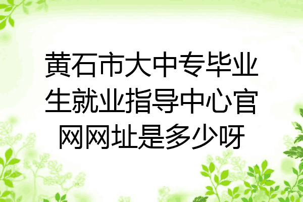 黄石市大中专毕业生就业指导中心官网网址是多少呀