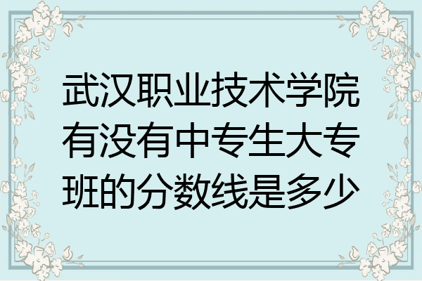 武汉职业技术学院有没有中专生大专班的分数线是多少