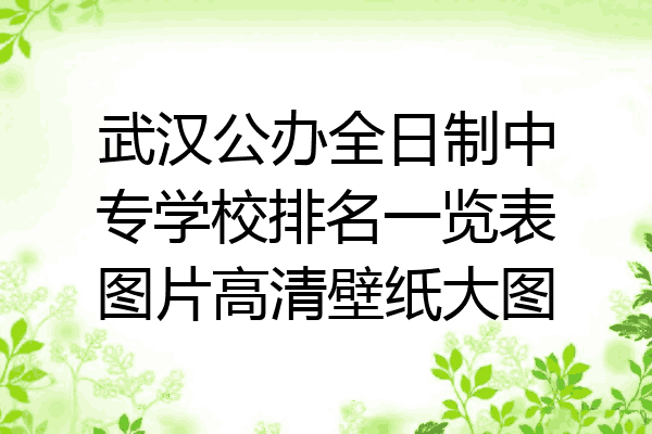 武汉公办全日制中专学校排名一览表图片高清壁纸大图