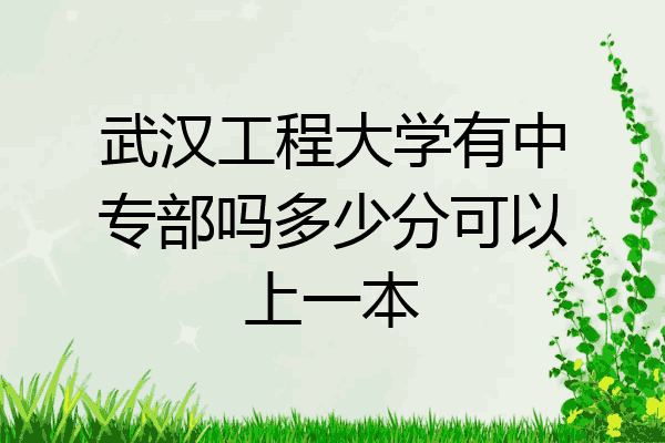武汉工程大学有中专部吗多少分可以上一本