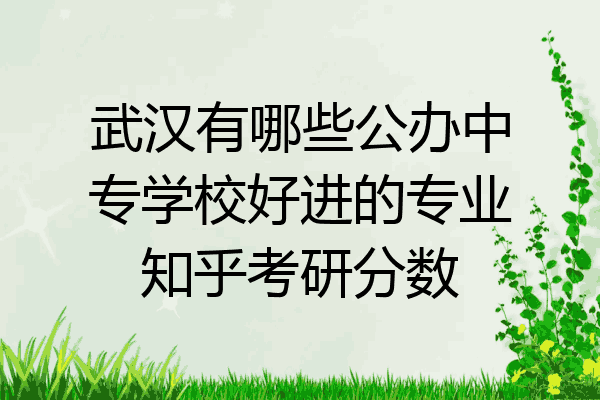 武汉有哪些公办中专学校好进的专业知乎考研分数
