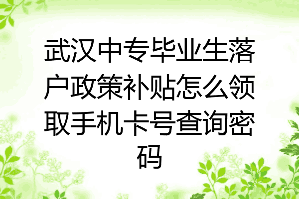 武汉中专毕业生落户政策补贴怎么领取手机卡号查询密码