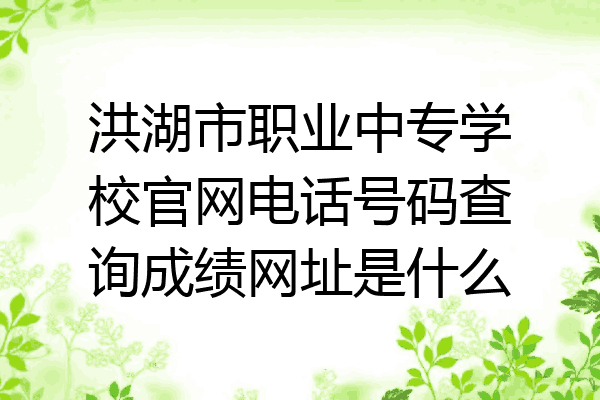洪湖市职业中专学校官网电话号码查询成绩网址是什么