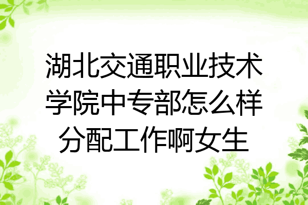 湖北交通职业技术学院中专部怎么样分配工作啊女生
