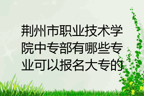 荆州市职业技术学院中专部有哪些专业可以报名大专的