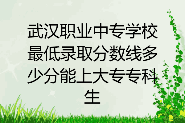 武汉职业中专学校最低录取分数线多少分能上大专专科生