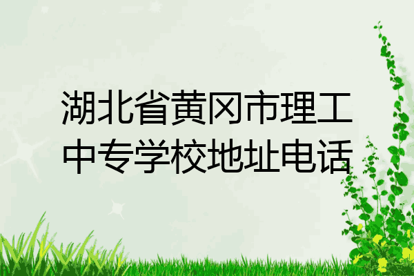 湖北省黄冈市理工中专学校地址电话