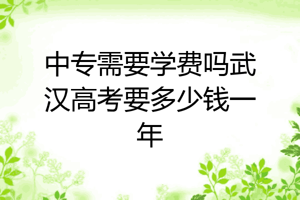 中专需要学费吗武汉高考要多少钱一年