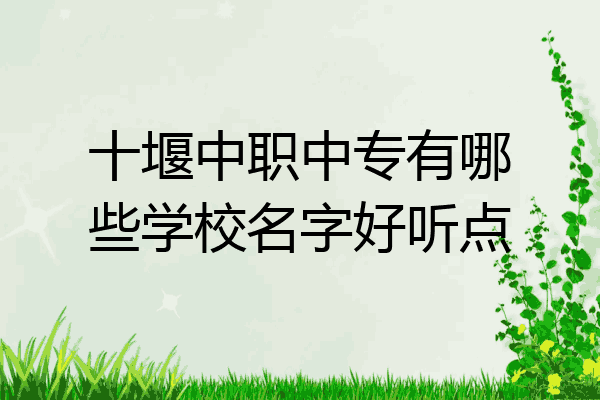十堰中职中专有哪些学校名字好听点