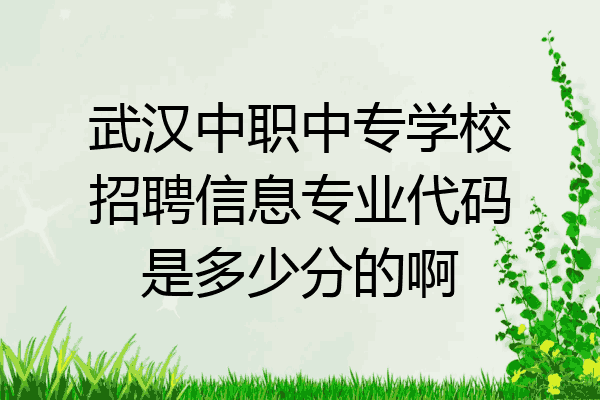 武汉中职中专学校招聘信息专业代码是多少分的啊