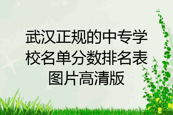 武汉正规的中专学校名单分数排名表图片高清版