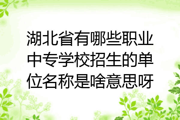 湖北省有哪些职业中专学校招生的单位名称是啥意思呀