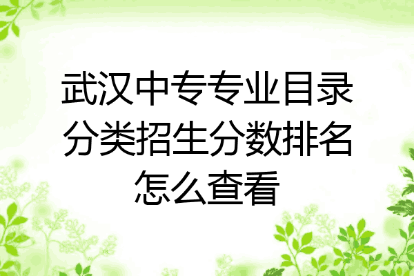 武汉中专专业目录分类招生分数排名怎么查看