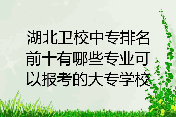 湖北卫校中专排名前十有哪些专业可以报考的大专学校