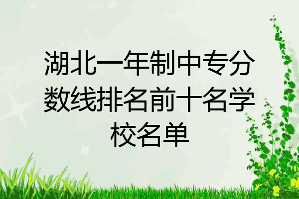 湖北一年制中专分数线排名前十名学校名单