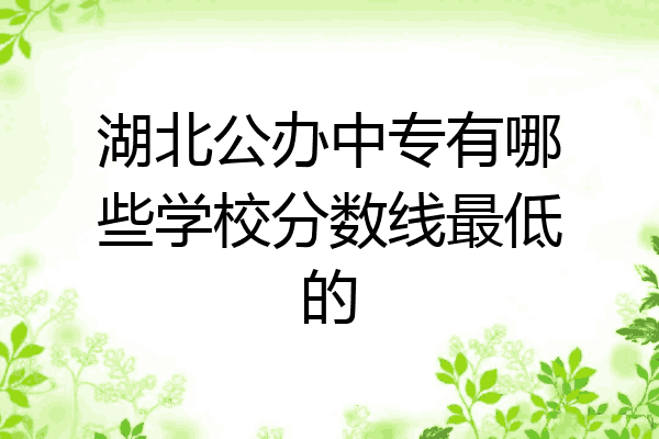 湖北公办中专有哪些学校分数线最低的