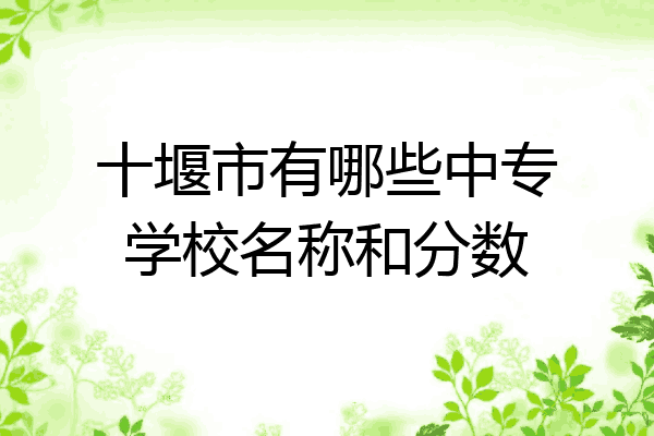 十堰市有哪些中专学校名称和分数
