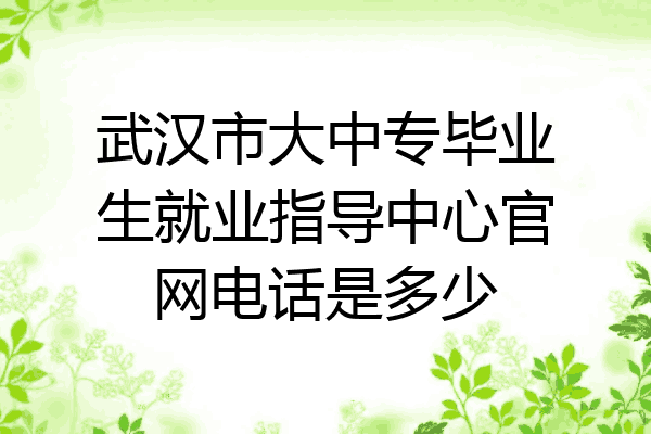 武汉市大中专毕业生就业指导中心官网电话是多少