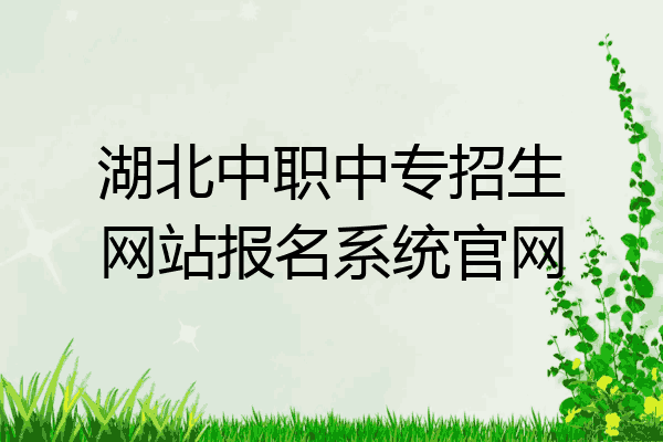 湖北中职中专招生网站报名系统官网
