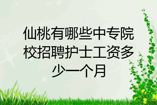 仙桃有哪些中专院校招聘护士工资多少一个月