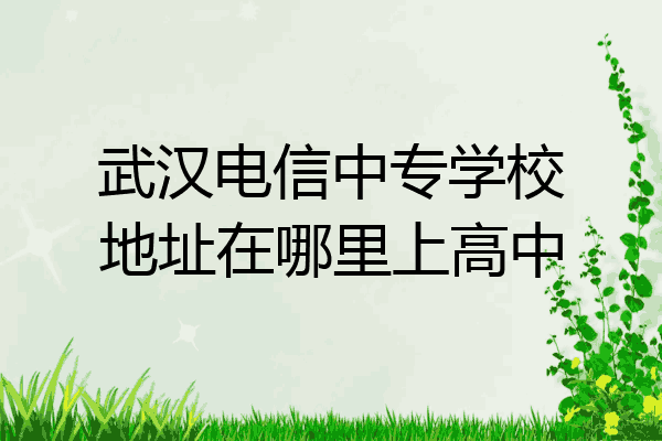 武汉电信中专学校地址在哪里上高中