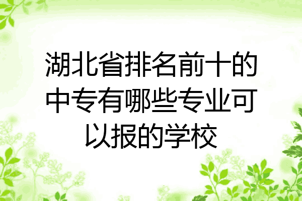 湖北省排名前十的中专有哪些专业可以报的学校