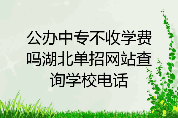 公办中专不收学费吗湖北单招网站查询学校电话