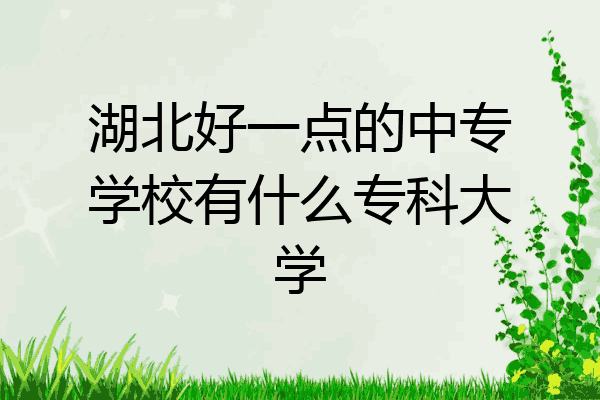 湖北好一点的中专学校有什么专科大学