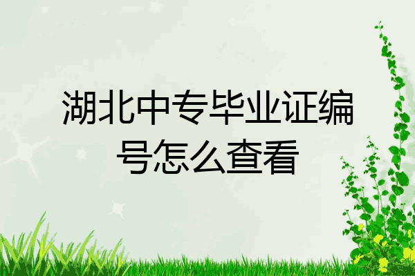 湖北中专毕业证编号怎么查看