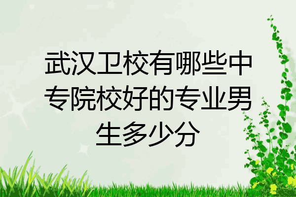 武汉卫校有哪些中专院校好的专业男生多少分
