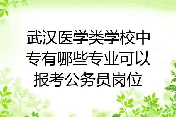 武汉医学类学校中专有哪些专业可以报考公务员岗位