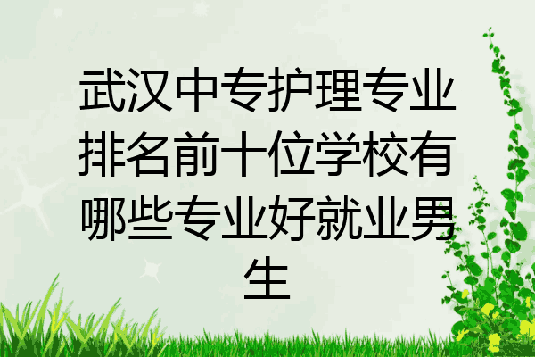 武汉中专护理专业排名前十位学校有哪些专业好就业男生