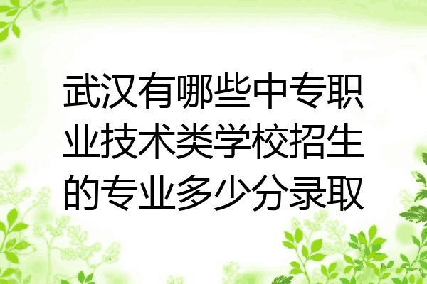 武汉有哪些中专职业技术类学校招生的专业多少分录取