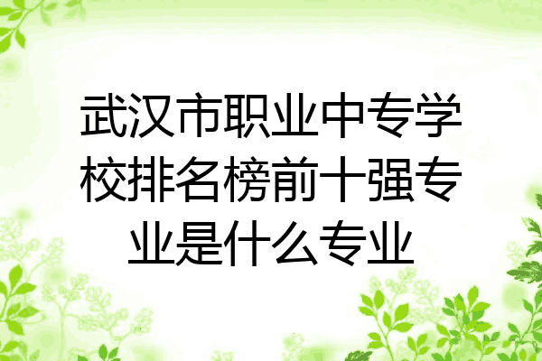 武汉市职业中专学校排名榜前十强专业是什么专业